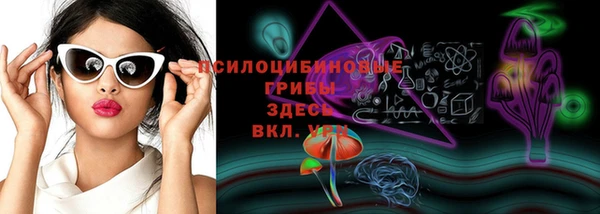 PSILOCYBIN Горнозаводск