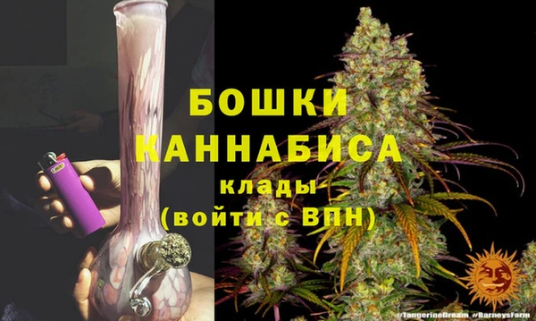 ГАЛЛЮЦИНОГЕННЫЕ ГРИБЫ Магас