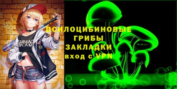 ГАЛЛЮЦИНОГЕННЫЕ ГРИБЫ Магас