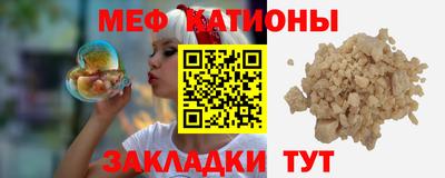 индика Гатчина