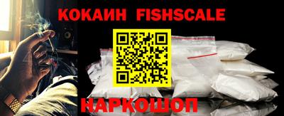 индика Гатчина