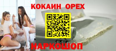 индика Гатчина