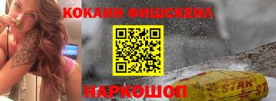 индика Гатчина