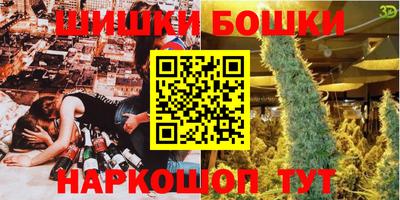 индика Гатчина