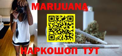 индика Гатчина