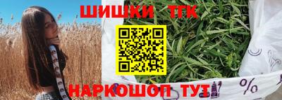 индика Гатчина