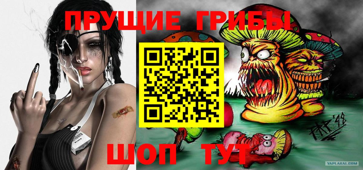 Галлюциногенные грибы MAGIC MUSHROOMS Дивногорск