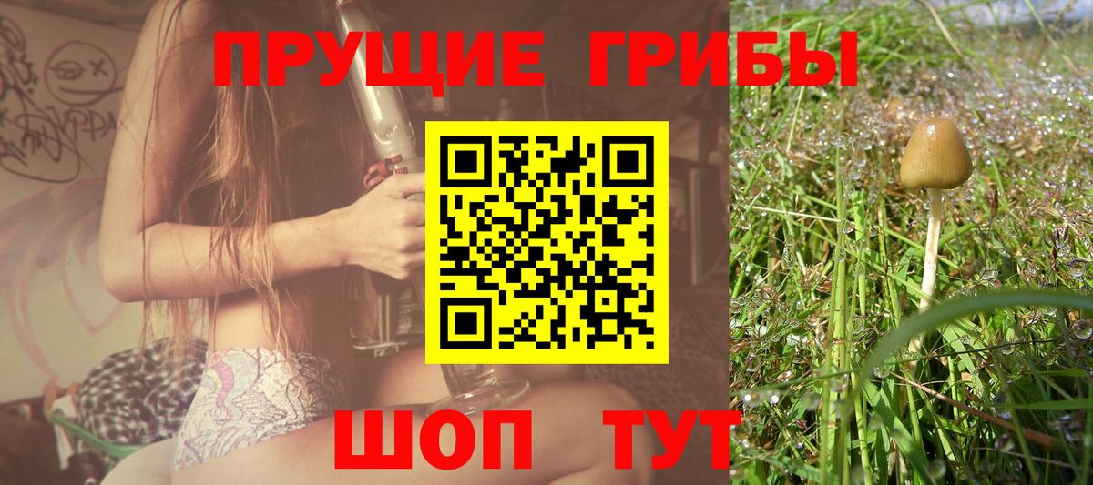 Дивногорск  Псилоцибиновые грибы мухоморы  Вход с VPN  Галлюциногенные грибы Cubensis 