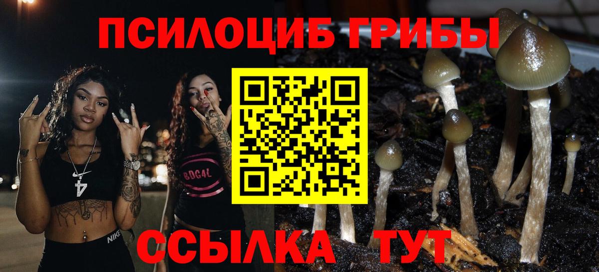 Галлюциногенные грибы GOLDEN TEACHER  Дивногорск 